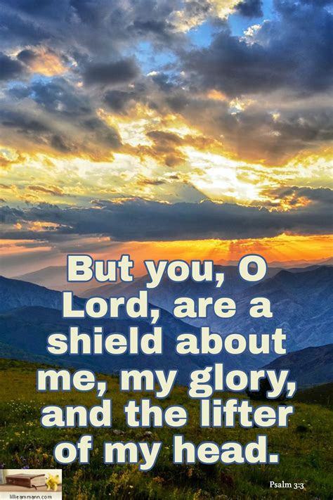 Psalm 33 But You O Lord Are A Shield About Me My Glory And The