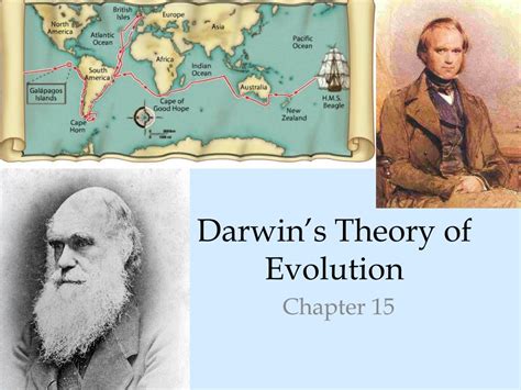 Ppt Darwins Theory Of Evolution Powerpoint Presentation Free