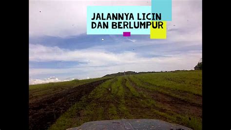 Search for and book hotels in kampung gunung emas with viamichelin: Gunung Emas - YouTube