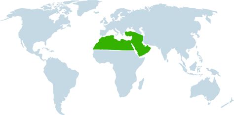 Medio Oriente Y África Del Norte Oiec Es