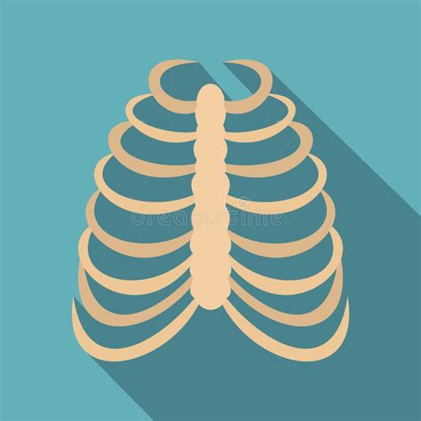 Rib Cage Icon Flat Style Stock Vector Illustration Of Science