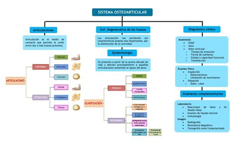 Sistema Osteoarticular Mapa Conceptual Udocz The Best Porn Website