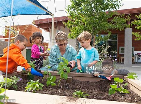 Teacher Garden Photos And Premium High Res Pictures Getty Images