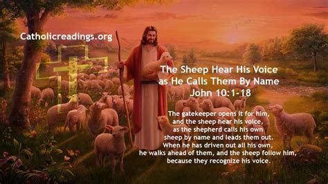 The Sheep Hear His Voice As He Calls Them By Name John 101 30
