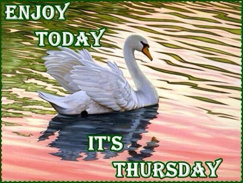Enjoy Today Its Thursday Pictures Photos And Images For