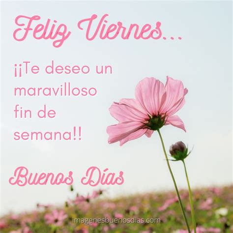 60 Imágenes De Feliz Viernes 🥳 Imágenes De Buenos Días