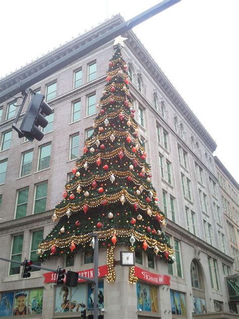 Joseph Hornes Christmas Tree In Pittsburgh