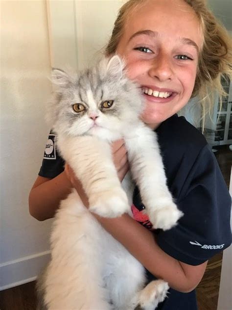 Reputable florida persian cat breeder offering doll face teacup kittens. Doll Face Persian Kittens Reviews and Client ...