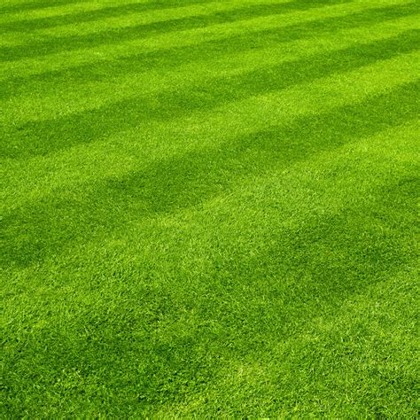 Best Lawn Mowing Patterns | Cardinal Lawns