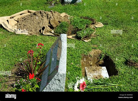 Urn Burial In Cemetery With Open Grave Tombstone Flowers And Earth And