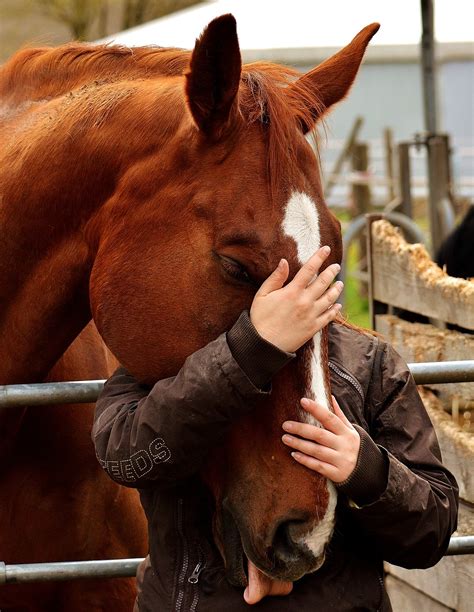 7 Myths About Horse Owners