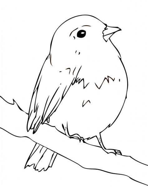 Polish your personal project or design with these robin transparent png images, make it even more personalized and more attractive. Robin Coloring Pages (With images) | Bird coloring pages ...