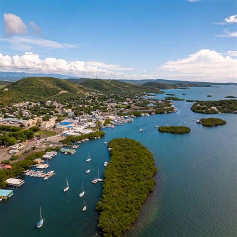 La Parguera Bioluminescent Bay Discover Puerto Rico