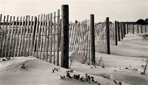 A violation can cost $300. Tybee Island Georgia, Black and White Photograph | Black ...