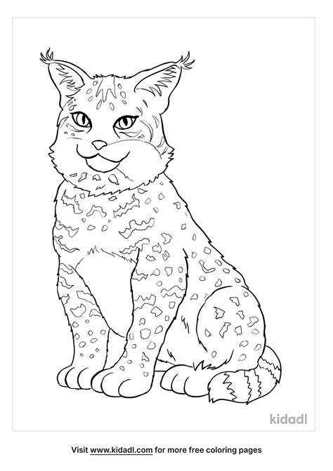Free Accurate Bobcat Coloring Page Coloring Page Printables Kidadl