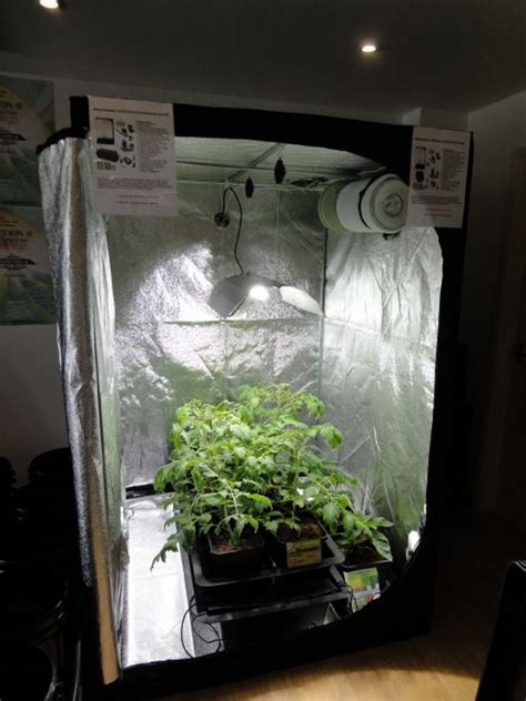 If you are looking to grow weed indoors and don't want others to know about it this article will highlight the best grow boxes and cabinets required for growing weed anonymous indoors. Grow Cabinet and Grow Box Ideen - wie man Pflanzen in ...