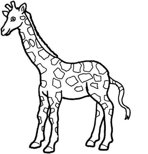 Download cute giraffe line drawings images - Google Search | Zoo ...