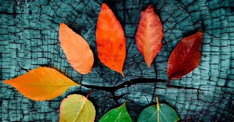 Image wallpaper and more collection of fondo de pantalla pc 4k contain 30+ more images free download free download fondos de pantalla 4k alta universo | descargar fondos de pantalla para pc, fondos de. Fondos de pantalla bonitos 4k para pc Imagenes vintage ...