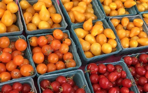 Close Up Of Red Orange And Yellow Cherry Tomatoes Stock Image Image