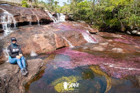 Caño Cristales From Bogotá 4 Days Sawa Nature Travel Agency