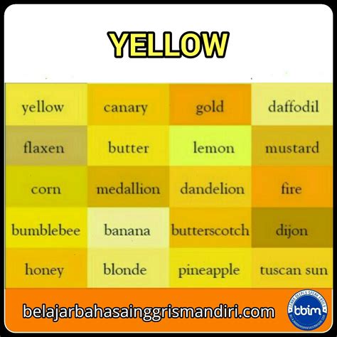 Bahasa Inggris Warna Kuning Meteor