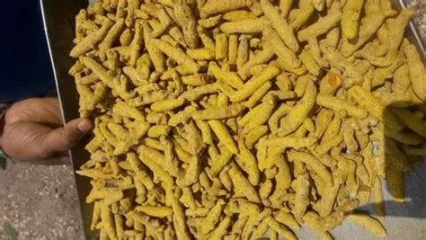 Curcuma Longa Super Salem Turmeric Finger For Food Packaging Size