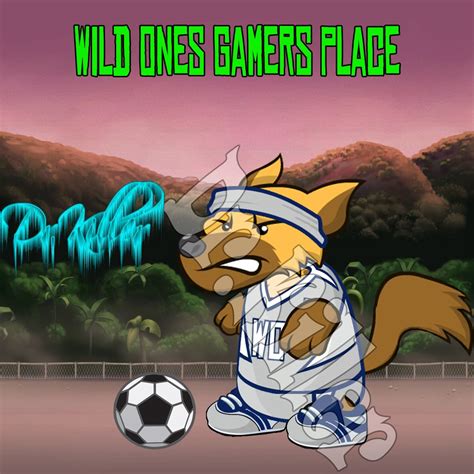 wild ones gamers place