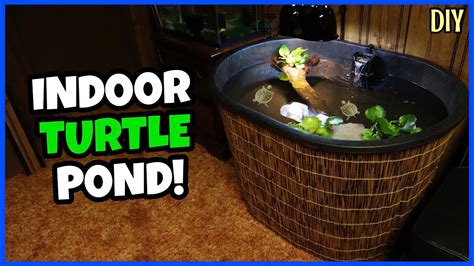 Diy Indoor Turtle Pond Setup Youtube