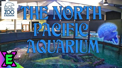 Point Defiance Zoo And Aquariums North Pacific Aquarium A Closed But