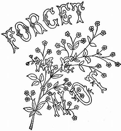 Forget Coloring Pages Flowers Embroidery Drawing Patterns