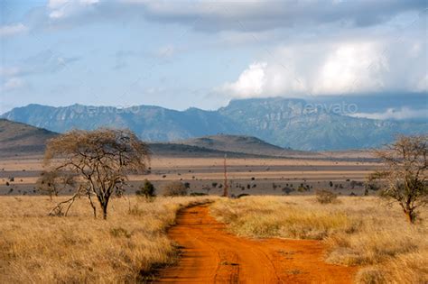 Savannah Landscape In The National Park Of Kenya Stock Photo By Byrdyak