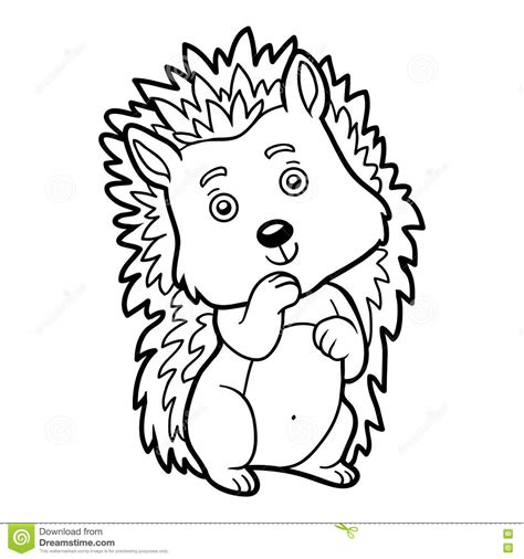 There are more than 50 different images that everyone can color as he wants. Coloring book, Hedgehog stock vector. Illustration of page ...