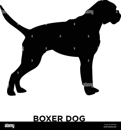 Boxer Dog Silhouette On White Background Vector Illustration Stock