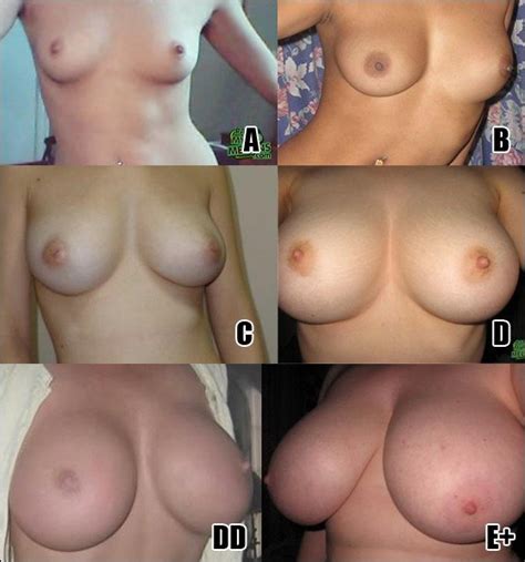 Poll What Breast Size Do You Prefer Thefappening