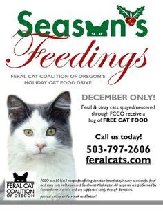 The american association of feline practitioners supports spaying/neutering. 25 Best Spay & Neuter images | Your pet, Pets, Feral cats