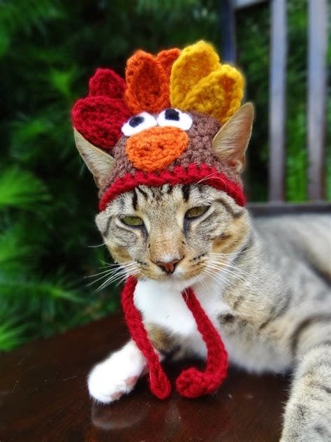 Cat Hat Costume The Thanksgiving Turkey Hat By Iheartneedlework