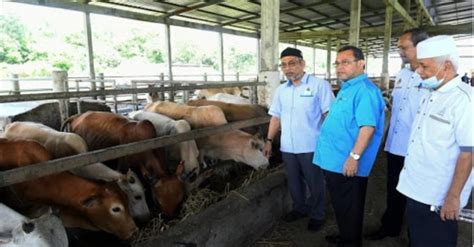 Gambar 13 jan, 2017, boling srikandi puteri ns allahyarhamah yang juga bekas ketua pergerakan puteri umno bahagian rasah dan pernah memegang jawatan ketua pergerakan puteri umno negeri sembilan, juga bekas exco. Ibadah Korban Dibenarkan Di Negeri Sembilan - Exco