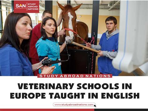 15 Veterinary Schools In Europe Taught In English 2023