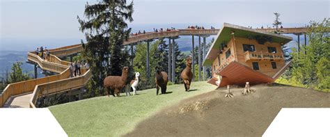 Total verrückt, im haus am kopf ist wirklich alles verkehrt. Waldwipfelweg - Der Wipfel der Gefühle - waldwipfelweg ...
