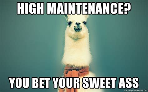 Comebacks If You Are Called High Maintenance I Should Have Said