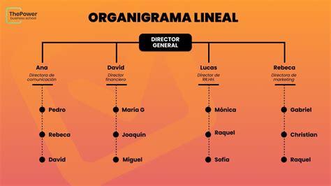 Organigrama Lineal De Una Empresa Biko The Best Porn Website