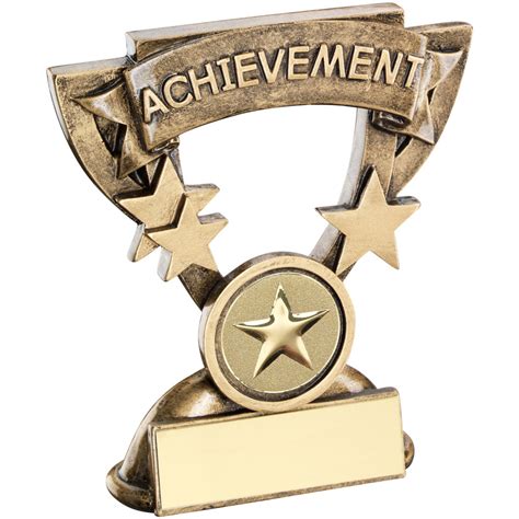 Achievement budget School Award - 2 sizes - FREE engraving