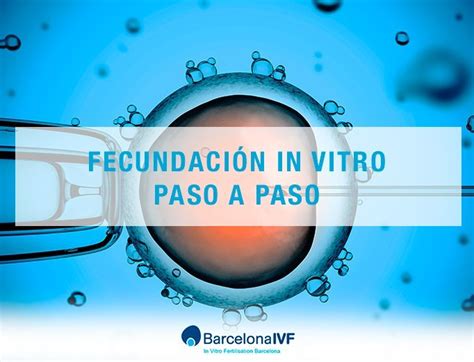 Fecundación in vitro paso a paso Barcelona IVF