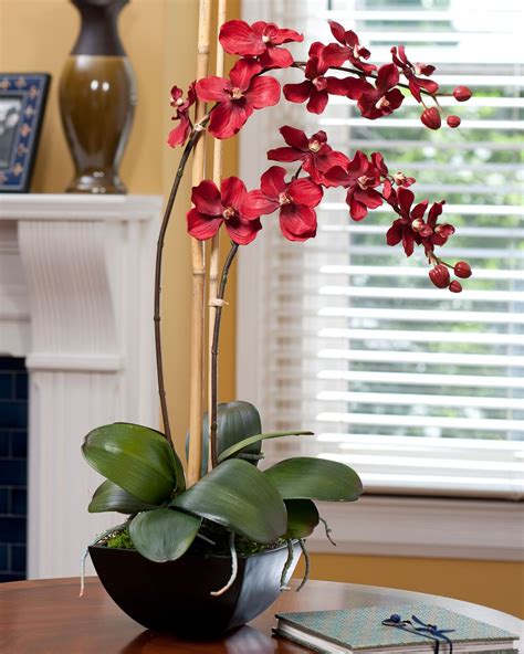 Silk Vanda Orchid Plant In 2022 Orchid Arrangements Vanda Orchids