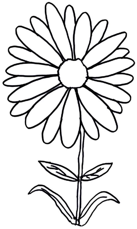 Simply do online coloring for drawing blooming aster flower coloring pages directly from your gadget, support for ipad, android tab or using our web feature. Aster Flower Drawing - ClipArt Best