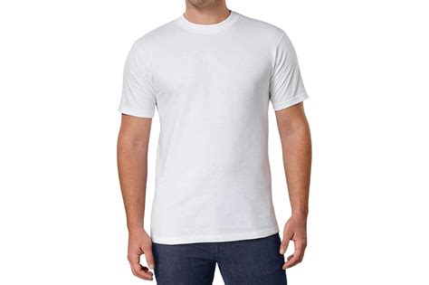 Plain White T Shirt Ubicaciondepersonascdmxgobmx