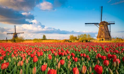 Hoy en día, el reino de los países bajos está formado por doce provincias: Qué ver en los Países Bajos | 10 Lugares Imprescindibles