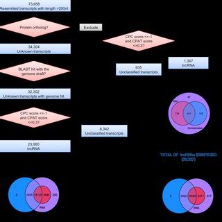 Description of parenting styles (according to Baumrind ...