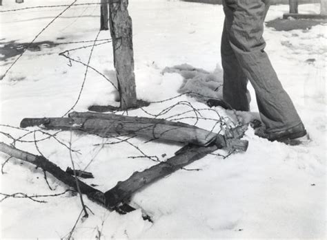 Man Walking Near Barbed Wire Fence Photograph Wisconsin Historical Society
