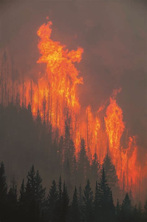 Wildfires that blazed through the weekend have calmed down. Controlling BC's Wildfire • British Columbia Magazine